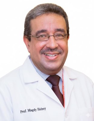Prof. Magdy Megallaa